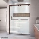 Encore Bypass Sliding Shower Door