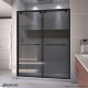 Encore Bypass Sliding Shower Door